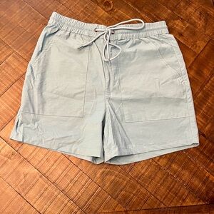 PacSun Men’s Volley Shorts